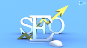 SEO Services Propel Chicago Businesses To New Heights